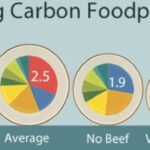 New Year's Resolution