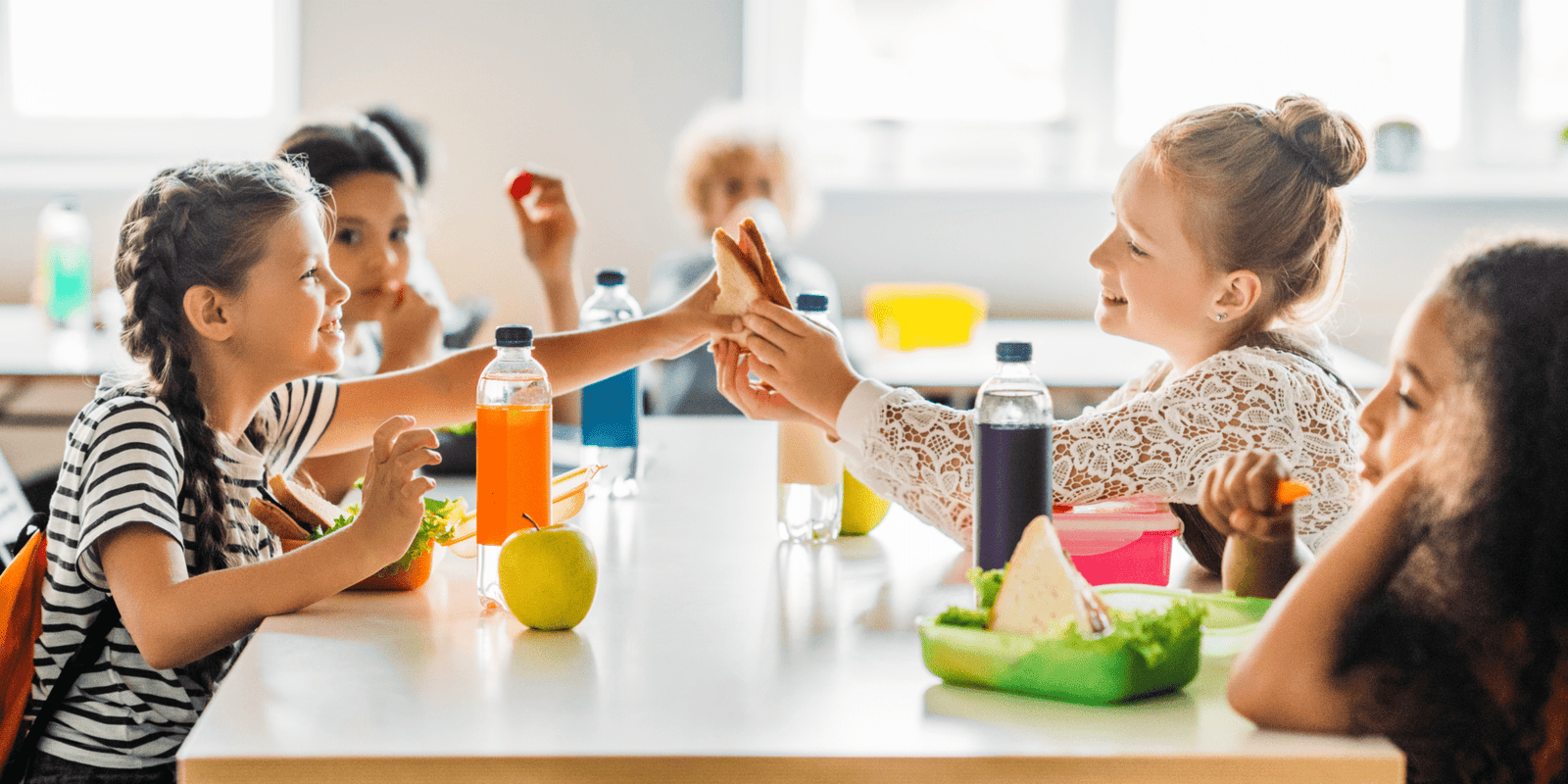School Lunch Program Would Provide Plant-Based Climate-Friendly Meals