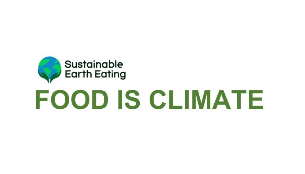 Hollywood Screenwriter Joins SEE Staff