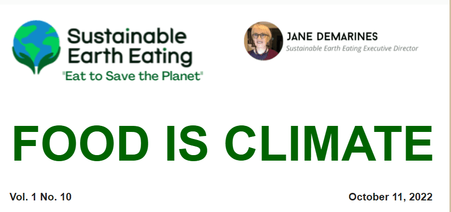 SEE October Newsletter