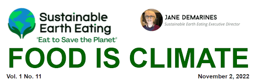 November SEE Newsletter