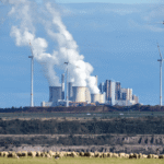 Settlement Requires EPA to Rein in Chesapeake Bay Pollution Caused by Animal Agriculture