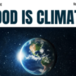 SEE August Newsletter