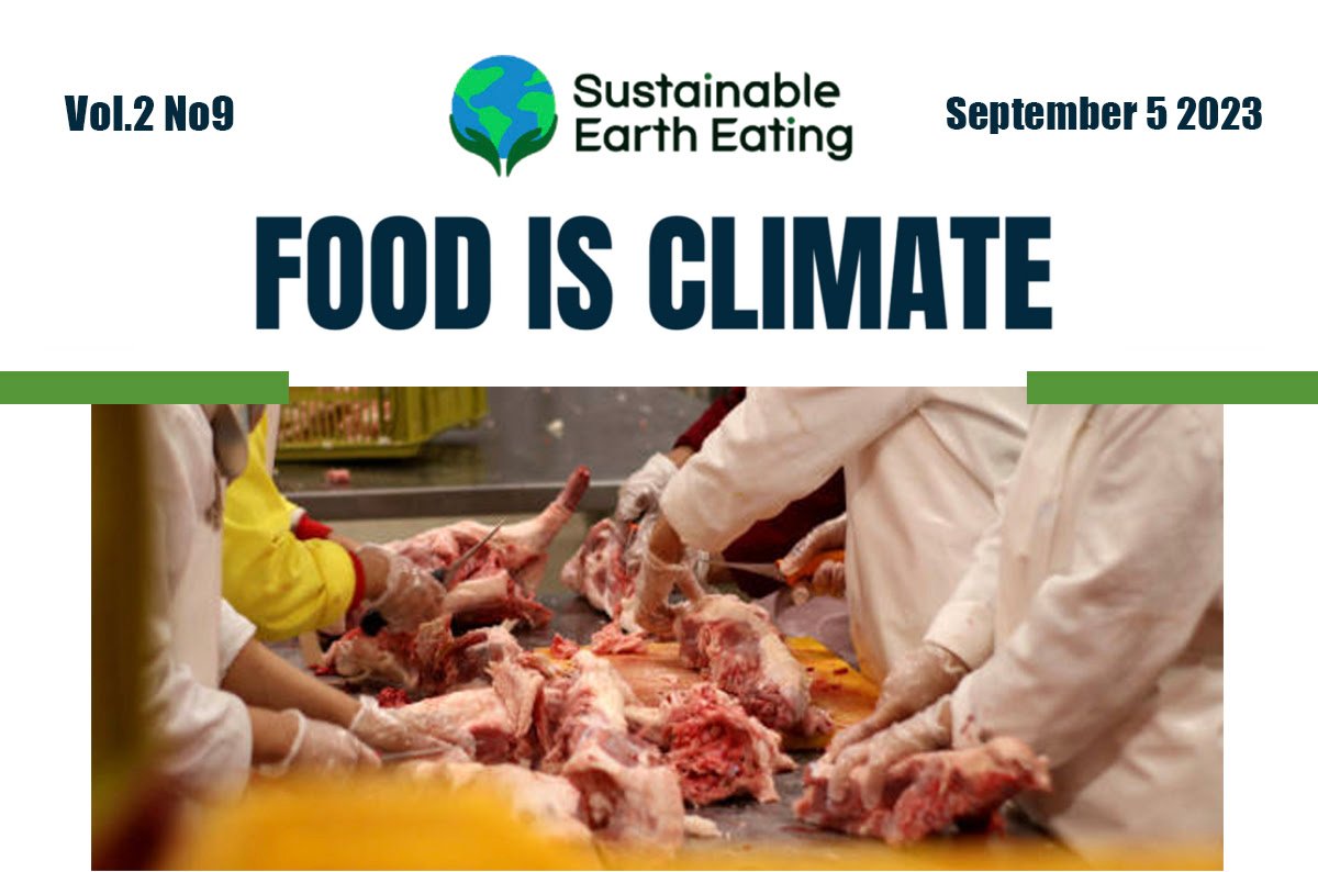 SEE September Newsletter