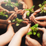 Letters to the Editor - Philidelphia Inquirer