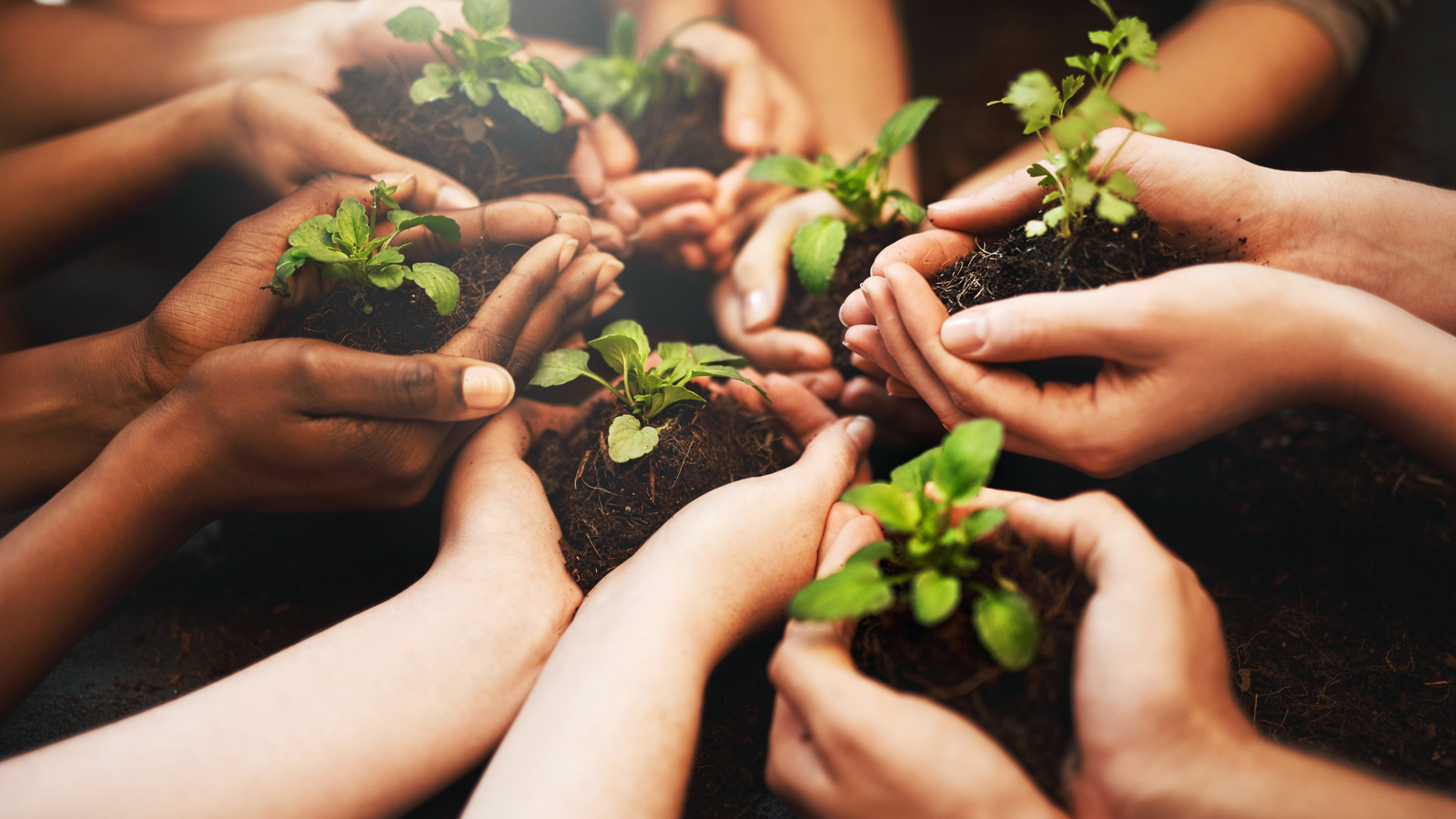 Letters to the Editor – Philidelphia Inquirer