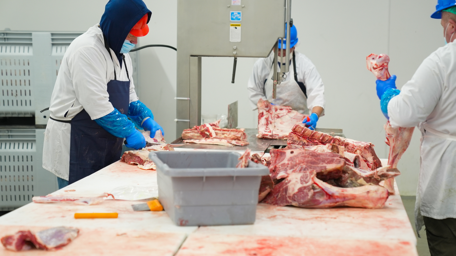 New York Daily News Editorial Section