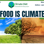 November 2023 Newsletter