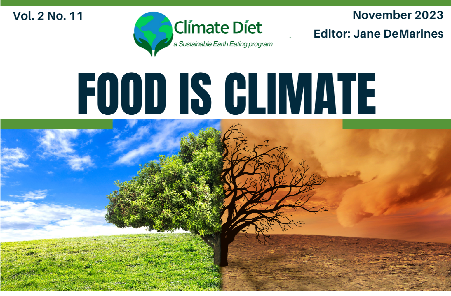 November 2023 Newsletter